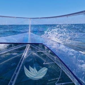 Siracusa Ortigia: Crystal Boat 50minuti