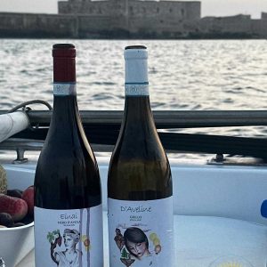 Siracusa Ortigia: Wine & Waves in Barca 2,5h