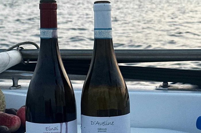 Siracusa Ortigia: Wine & Waves in Barca 2,5h