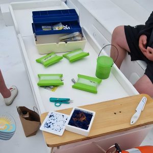 Siracusa Ortigia: Pesca Tour in Barca 2,5h