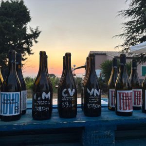 Etna: Visita autentica alle vigne centenarie e alla cantina con degustazione di vini sul versante Sud-Ovest