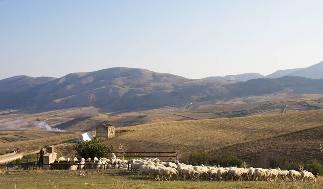 Sambuca di Sicilia: Visita guidata del borgo e pranzo con prodotti tipici in azienda agricola del Contadino - immagine 3